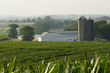country farm