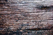 The old woodentexture