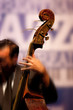 Musician