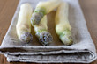 Grosses Asperges