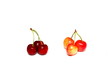 cerises