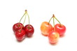 cerises