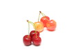 cerises