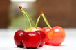 cerises