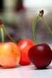 cerises