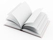 white book isolated on white
