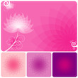 Abstract Pink floral background of spring.