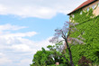 Schloßberg Graz