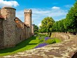 Burg in Obernai Frankreich