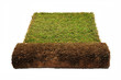 Roll of turf