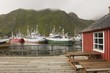 Fishing boats in harbour of Lofoten Islands, Norway