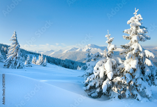 Foto: Snowy landscape Snowy landscape