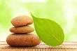 zen stone with leaf