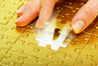 Gold Puzzle