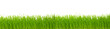 green grass