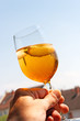 Summerdrink / Prosecco / Crodino /Aperol