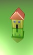 shiny house