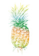 vector pineapple vector pineapple