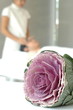 Fleur et massage