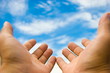 hands