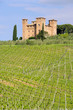Castello delle quatro torra 01