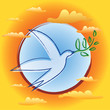 Oiseau Branche Olivier - Fond Soleil Nuages - Symbole Paix Oiseau Branche Olivier - Fond Soleil Nuages - Symbole Paix