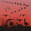 Reeds and Geese