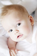 baby portrait baby portrait