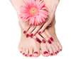 Pink manicure and pedicure with a flower Pink manicure and pedicure with a flower