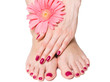 Woman hand and feet with manicure and pink flower