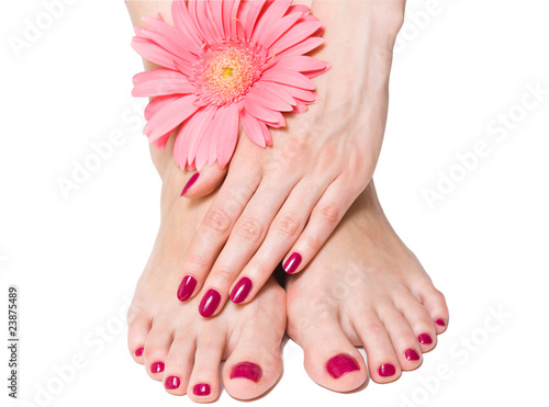 Photo: Woman hand and feet with manicure and pink flower Woman hand and feet with manicure and pink flower