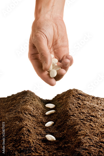 Photo: farmer seeding farmer seeding