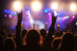 cheering crowd at concert cheering crowd at concert