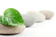 Zen stones with leaf