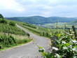 Weg nach Veldenz