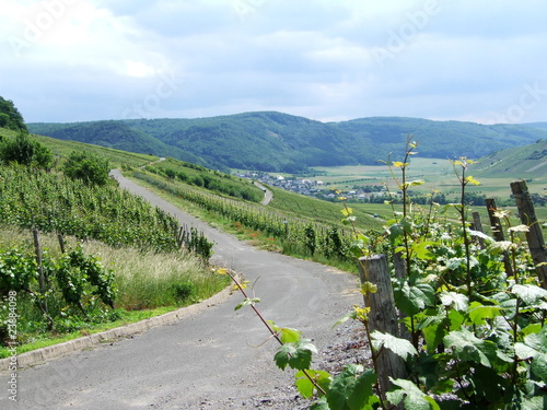 Foto: Weg nach Veldenz Weg nach Veldenz