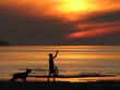 Fiery sunset, boy with a dog Fiery sunset, boy with a dog