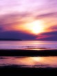 Purple sunset