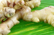 tubercules de gingembre sur feuille de la plante