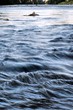 Vah river