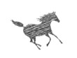 Pferd