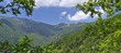 Paseo por el bosque