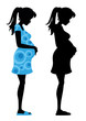 Silhouette einer Schwangeren  (mit Clippfad)