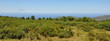����: algerie...littoral � celeste clochard #23894210