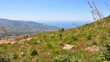 ����: algerie...littoral � celeste clochard #23898291