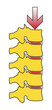 Rückenwirbel A