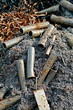 Iron dust