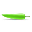 Green pepper isolated on white Green pepper isolated on white