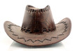 cowboy hat