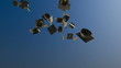 Morter Board Toss